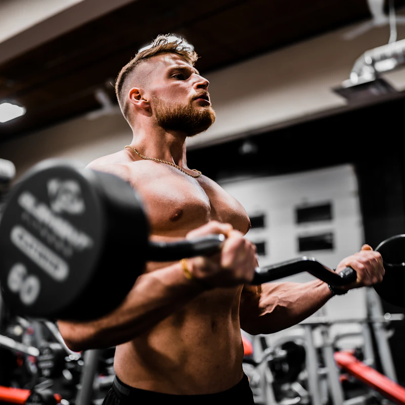 Beginner Programme