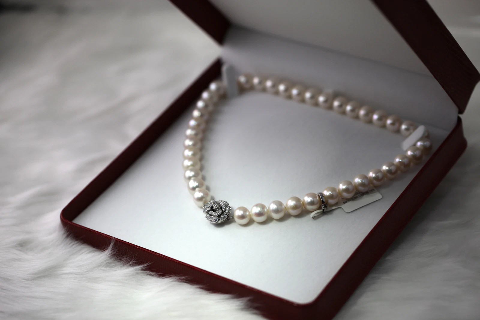 Fine Contemporary Jewellery